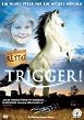 Rettet Trigger!