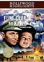 F&uuml;nf Gr&auml;ber bis Kairo