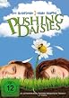 Pushing Daisies - Staffel 1