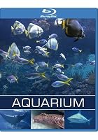 Aquarium