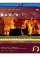Kaminfeuer