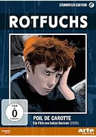 Rotfuchs