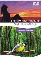 Entspannung mit Natur & Musik: Tiefer Wald & Birdsong