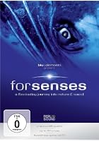 Forsenses - A Fascinating Journey into Nature & Sound