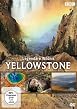 Yellowstone - Legend&auml;re Wildnis