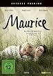 Maurice