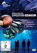Expedition Ozeaneum