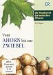 Vom Ahorn bis zur Zwiebel