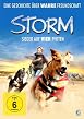 Storm - Sieger auf 4 Pfoten