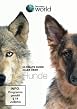 Discovery World - Ultimate Guide - Alles &uuml;ber Hunde
