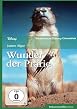 Wunder der Pr&auml;rie