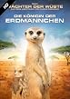 Die K&ouml;nigin der Erdm&auml;nnchen