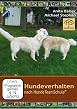 Hundeverhalten nach Hunde Team Schule