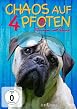Chaos auf 4 Pfoten - Sommer mit Hund