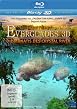 Abenteuer Everglades - Die Manatis des Crystal River - 3D Blu-ray