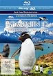 Patagonien - Auf den Spuren von Charles Darwin - Von Camarones bis Darwins Rock - 3D Blu-ray