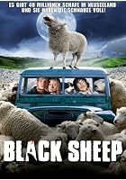Black Sheep