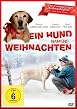 Ein Hund namens Weihnachten