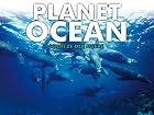 Planet Ocean: Sch&auml;tze der Meere