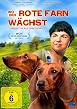 Wo der rote Farn w&auml;chst