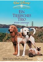 Ein tierisches Trio - wieder unterwegs