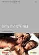 Der Eissturm