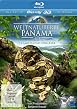 Weltnaturerbe Panama - La Amistad Nationalpark - 3D Blu-ray