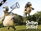 Shaun das Schaf - Meisterschafe
