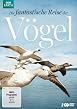 Die fantastische Reise der V&ouml;gel