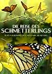 Die Reise des Schmetterlings