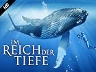 Im Reich der Tiefe - Staffel 1