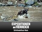 Expeditionen ins Tierreich - Schicksalsfluss Mara