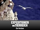 Expeditionen ins Tierreich - Die Nordsee