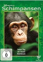 Schimpansen