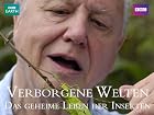Life In The Undergrowth - Staffel 1