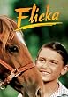 Meine Freundin Flicka