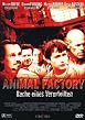 Animal Factory - Rache eines Verurteilten