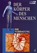 Der K&ouml;rper des Menschen - Teil 04