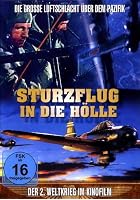 Sturzflug in die H&ouml;lle