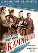 Die Kampfflieger