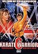 Karate Warrior 6