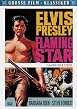 Elvis - Flammender Stern