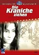 Russische Klassiker - Die Kraniche ziehen