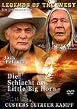 Die Schlacht am Little Big Horn