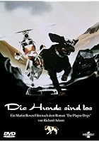 Die Hunde sind los