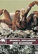 Safari: Spinnen, Schlangen und Skorpione