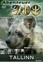 Abenteuer Zoo - Tallinn