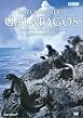 Naturwunder Galapagos - Inseln, die die Welt ver&auml;nderten