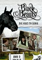 Black Beauty - TV-Serie - DVD 3