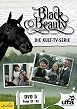 Black Beauty - TV-Serie - DVD 5